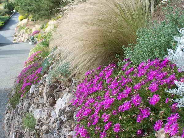 Muret De La Pin De Les Jardins Du Gu